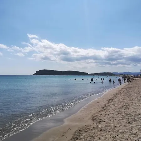 Delizioso Dolianova